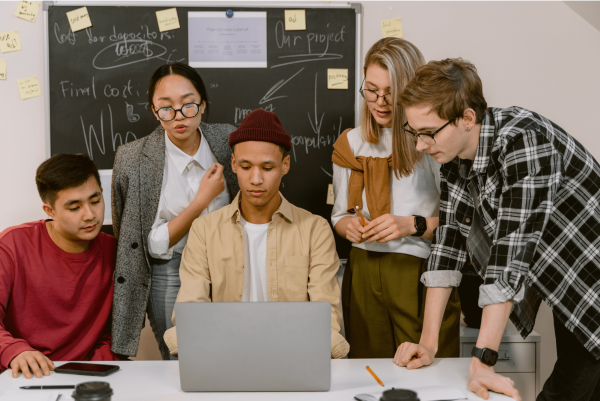 Start-up Cohort